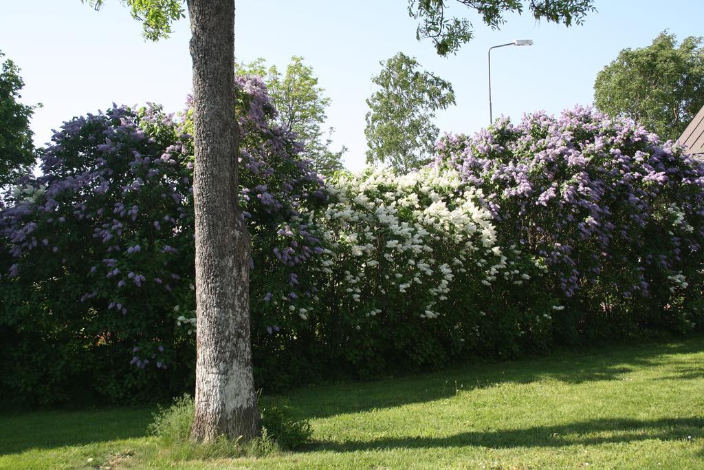 Gaesthem Kronan Mariehamn Ruang foto